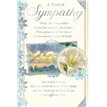 C75 WITH DEEPEST SYMPATHY FOREVER BLESSED 6S