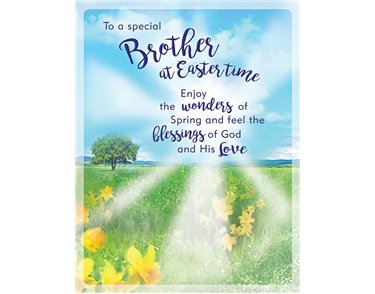 8x6in BROTHER EASTER (UNWRAPPED) 6S