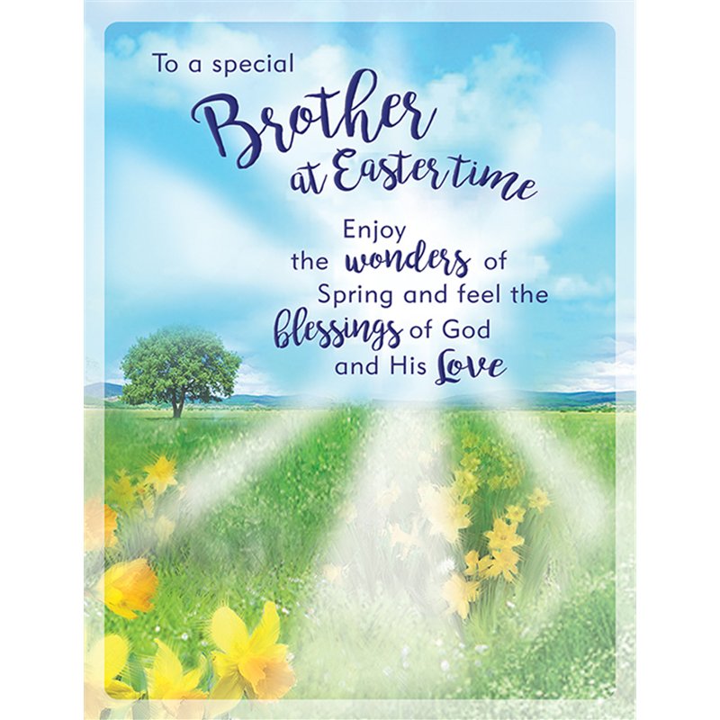 8x6in BROTHER EASTER (UNWRAPPED) 6S