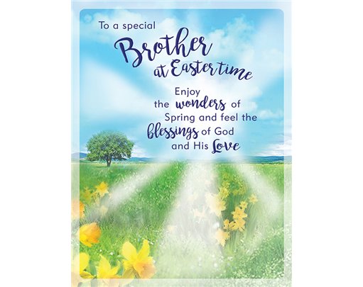 8x6in BROTHER EASTER (UNWRAPPED) 6S