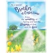 8x6in BROTHER EASTER (UNWRAPPED) 6S
