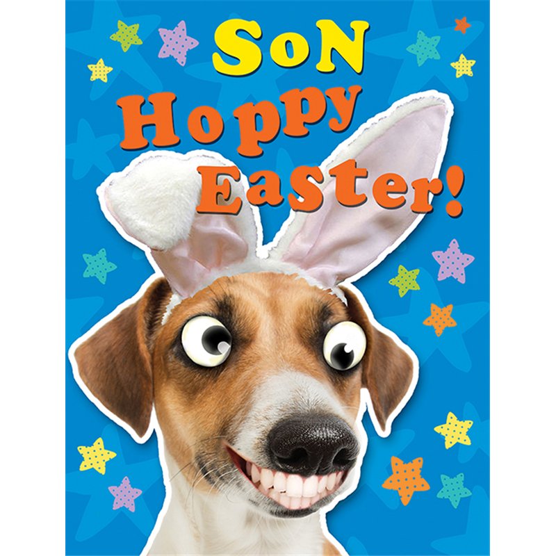 8x6in SON EASTER (UNWRAPPED) 6S