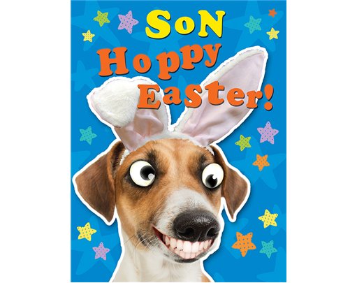 8x6in SON EASTER (UNWRAPPED) 6S