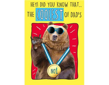 C75 DAD LAST LAUGH FATHERS DAY 6S