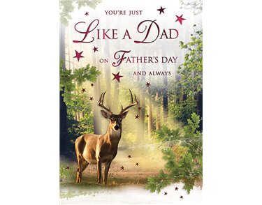 C75 LIKE A DAD SPECIAL THOUGHTS FATHERS DAY 6S