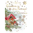C75 GRANDSON & PARTNER CHERISHED MOMENTS XMAS 6S