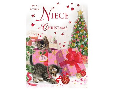 C75 NIECE SPECIAL THOUGHTS XMAS 6S