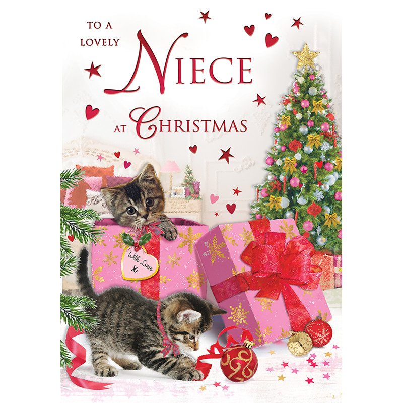 C75 NIECE SPECIAL THOUGHTS XMAS 6S