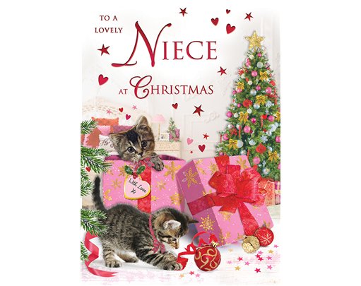C75 NIECE SPECIAL THOUGHTS XMAS 6S