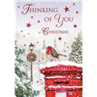 C75 THINKING OF YOU SPECIAL THOUGHTS XMAS 6S