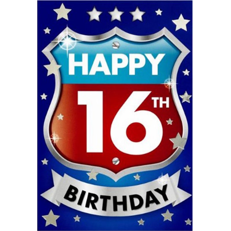 C50 16TH BIRTHDAY BOY WORDPLAY 6S