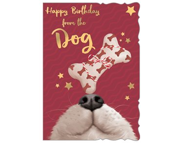 C50-I BIRTHDAY FROM THE DOG OOTB STUDIOS 6S