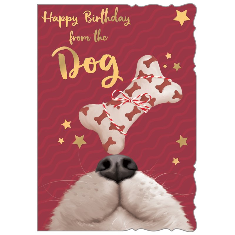 C50-I BIRTHDAY FROM THE DOG OOTB STUDIOS 6S