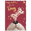 C50-I BIRTHDAY FROM THE DOG OOTB STUDIOS 6S