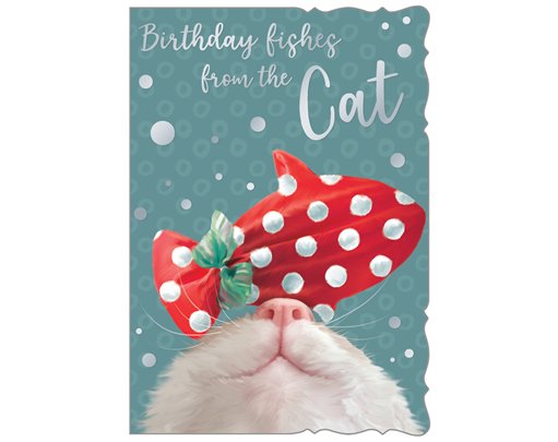 C50-I BIRTHDAY FROM THE CAT OOTB STUDIOS 6S