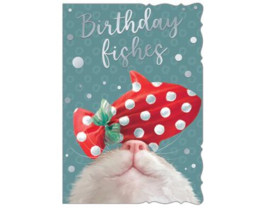 C50-I OPEN BIRTHDAY OOTB STUDIOS 6S