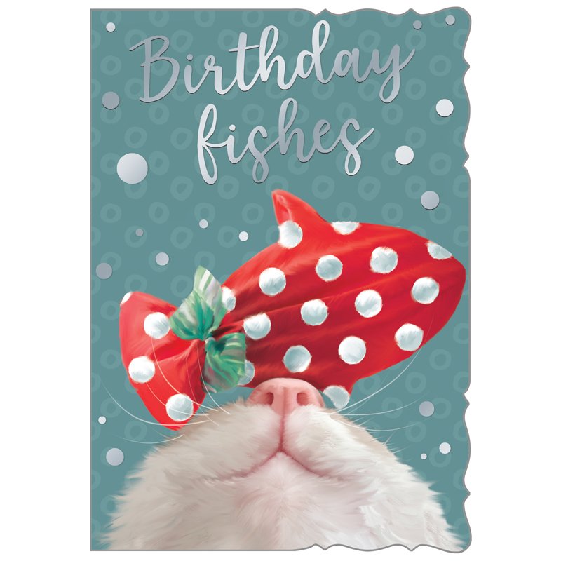 C50-I OPEN BIRTHDAY OOTB STUDIOS 6S
