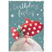 C50-I OPEN BIRTHDAY OOTB STUDIOS 6S