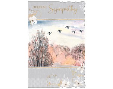 C75-I SYMPATHY BIRTHDAY OOTB STUDIOS 6S