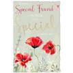C75-I SPECIAL FRIEND ELOQUENCE 6S