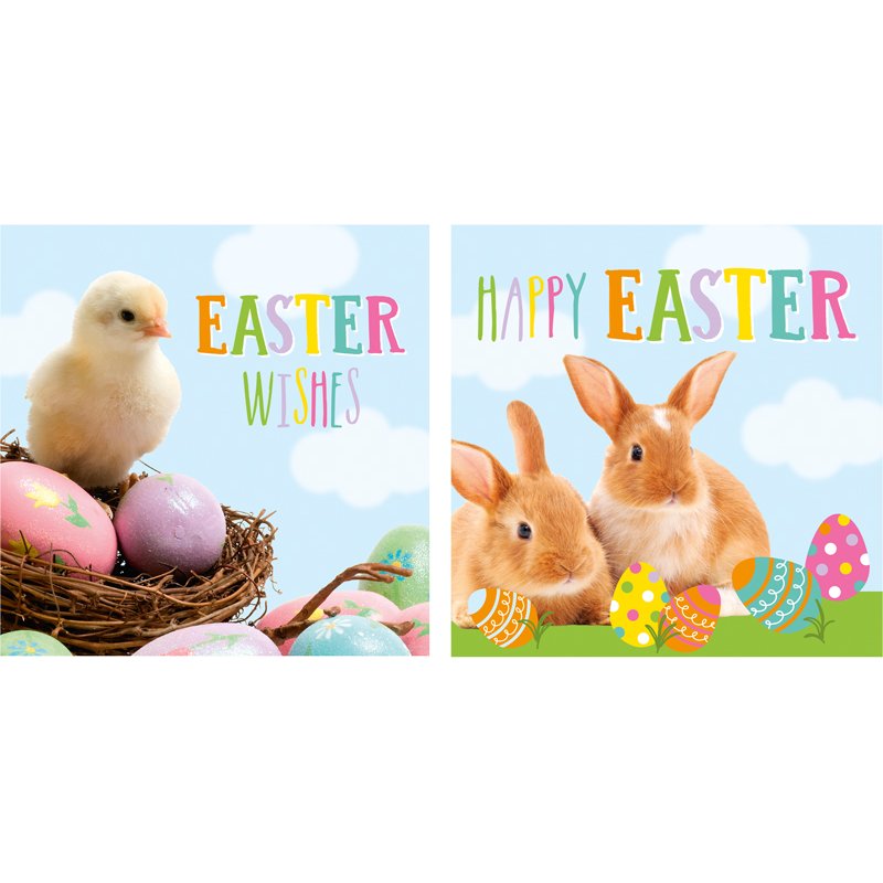 10PK PHOTOGRAPHIC EASTER CARDS 24S