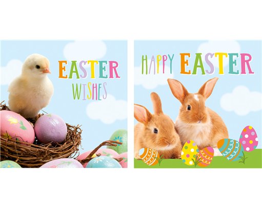 10PK PHOTOGRAPHIC EASTER CARDS 24S