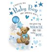 C75 BABY BOY HONEYBUN E/DAY 6S