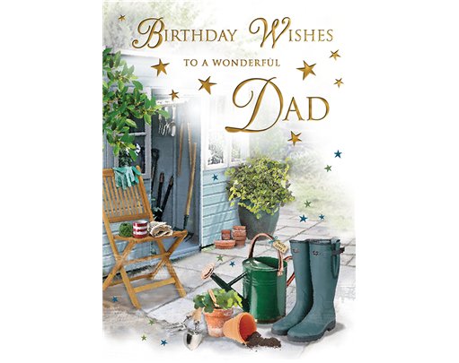 C75 DAD SPECIAL THOUGHTS E/DAY 6S