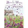 C75 FRIEND SPECIAL THOUGHTS E/DAY 6S