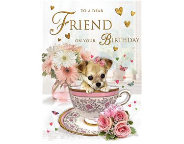 C75 FRIEND SPECIAL THOUGHTS E/DAY 6S