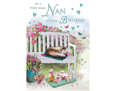 C75 NAN SPECIAL THOUGHTS E/DAY 6S