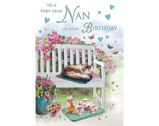 C75 NAN SPECIAL THOUGHTS E/DAY 6S