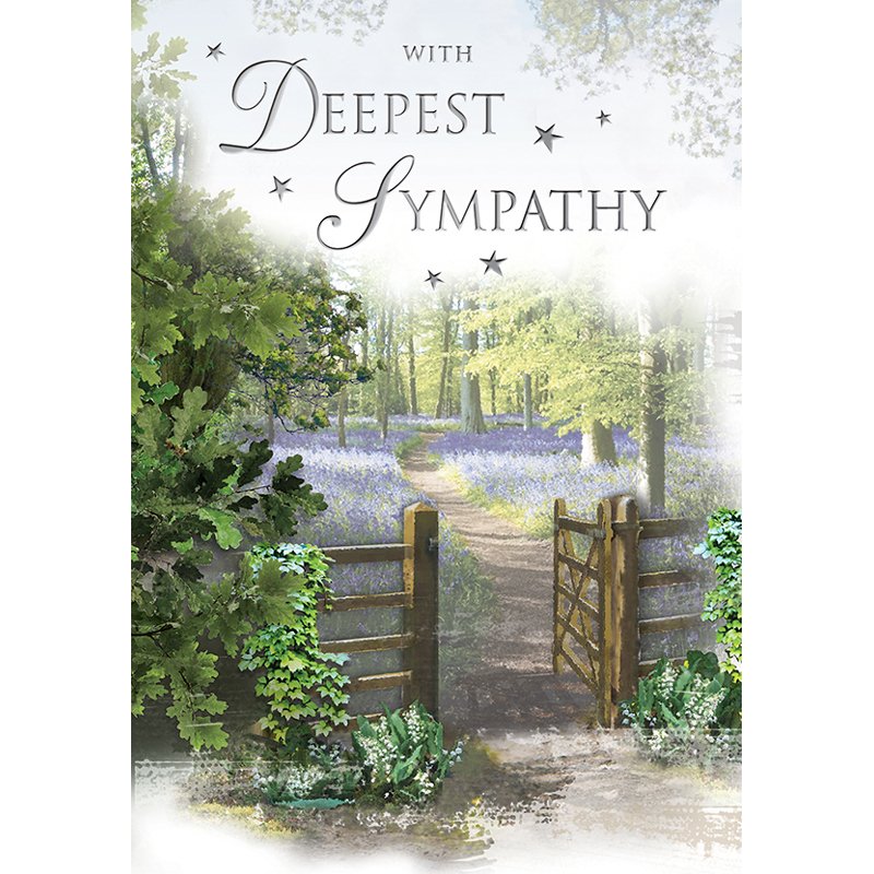 C75 SYMPATHY SPECIAL THOUGHTS E/DAY 6S