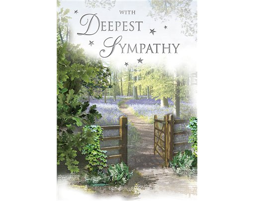 C75 SYMPATHY SPECIAL THOUGHTS E/DAY 6S