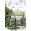 C75 SYMPATHY SPECIAL THOUGHTS E/DAY 6S