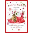 C75 BABY'S 1ST XMAS HONEYBUN XMAS 6S