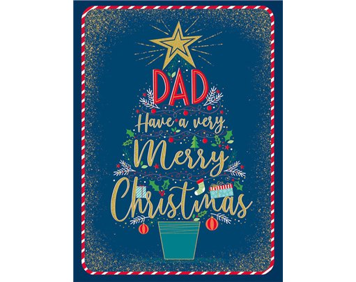 C100 DAD BIG HUGS XMAS 6S