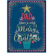 C100 DAD BIG HUGS XMAS 6S