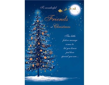 C75 FRIENDS ETERNAL XMAS 6S