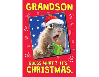 C75 GRANDSON THE LAST LAUGH XMAS 6S