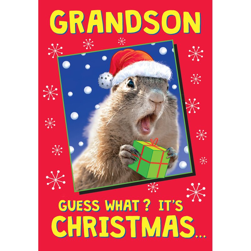 C75 GRANDSON THE LAST LAUGH XMAS 6S