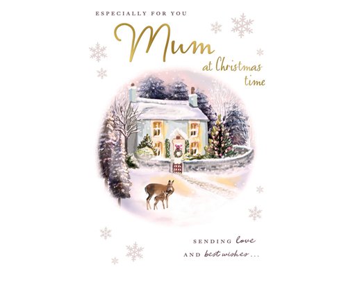 C75 MUM SECRET GARDEN XMAS 6S