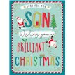 C100 SON BIG HUGS XMAS 6S