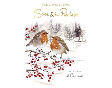 C75 SON & PARTNER SECRET GARDEN  XMAS 6S