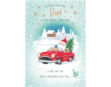 C75 DAD CHRISTMAS SPIRIT XMAS 6S