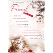 C90 FRIEND APERTURE XMAS 6S