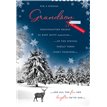 C90 GRANDSON APERTURE XMAS 6S