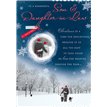 C90 SON & DIL APERTURE XMAS 6S