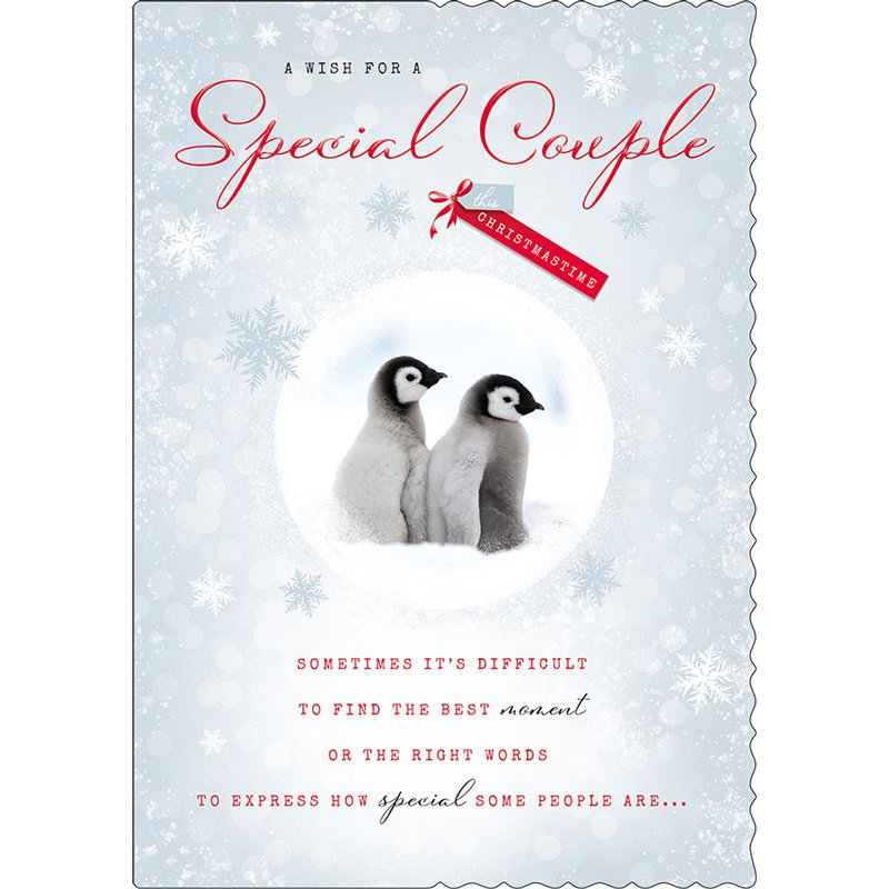 C90 SPECIAL COUPLE APERTURE XMAS 6S