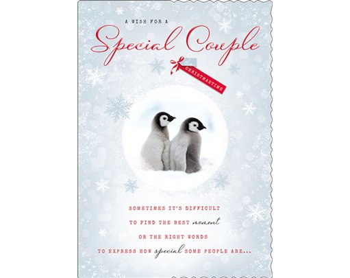 C90 SPECIAL COUPLE APERTURE XMAS 6S